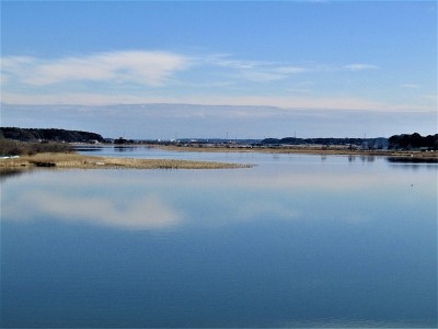 2月。日本。漂亮的晴天。千叶市的铁沼湖。