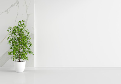绿色植物在白色客厅复制空间，3D渲染