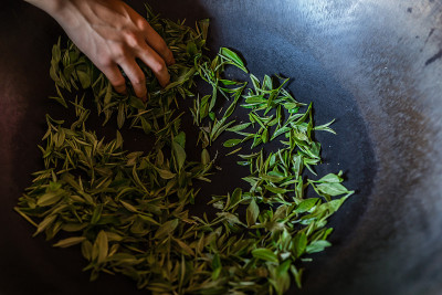 用热锅加工茶叶