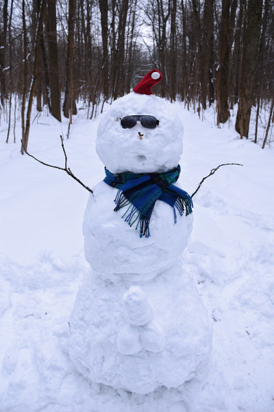 森林里有男性生殖器的滑稽雪人