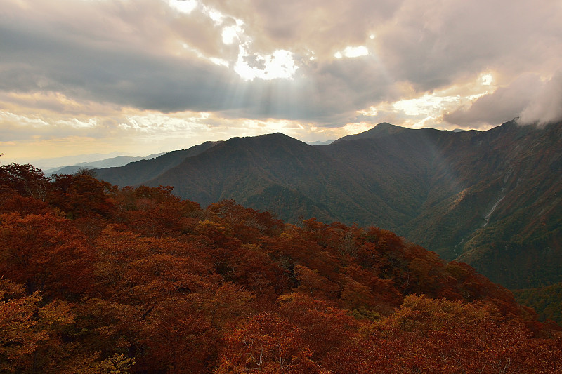 日本秋季的山地景观