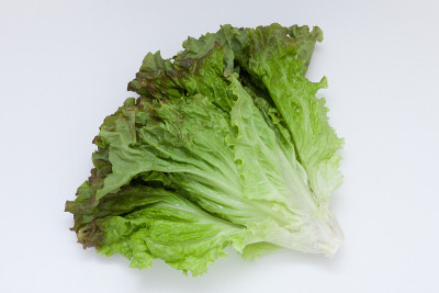 生菜