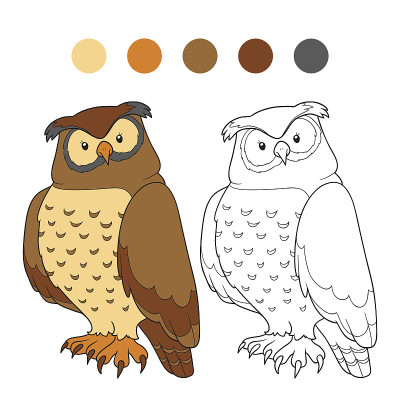彩色书(owl)