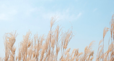生态公园