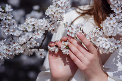 女性手捧花坛，春暖花开