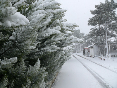 雪