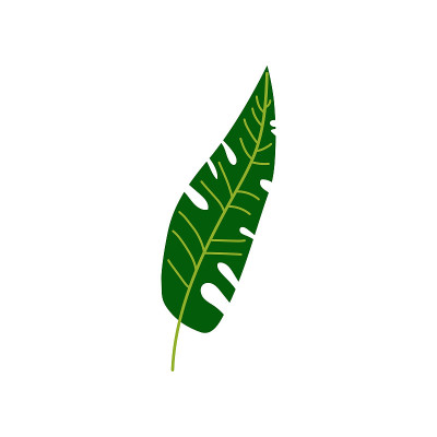 Tropical Palm Leaf, Botanical Design Element Vecto