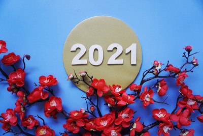 2021年春节快乐。