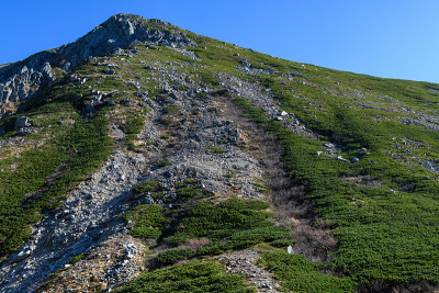 深秋的稻岭山