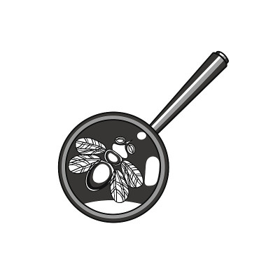 在放大镜下飞行