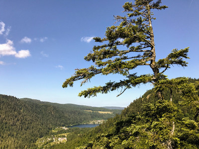 山的观点