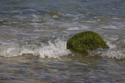 海