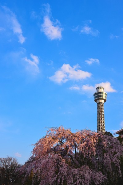 横滨