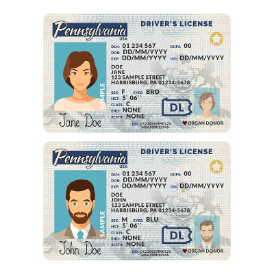 Vector template of sample driver license plastic c