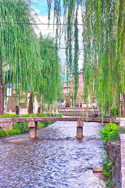 一桥和柳叶的景观白川