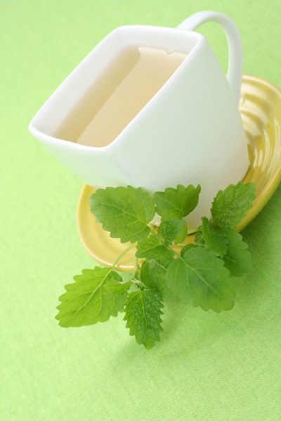 薄荷茶