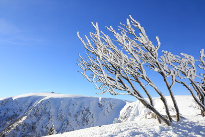 法国孚日雪山