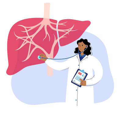 Liver Template Concept
