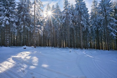 图林根州冬天的雪景