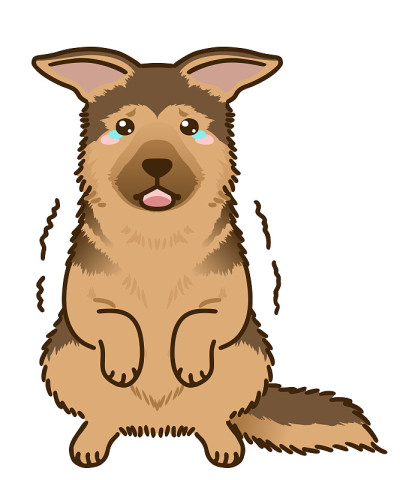 害怕德国牧羊犬