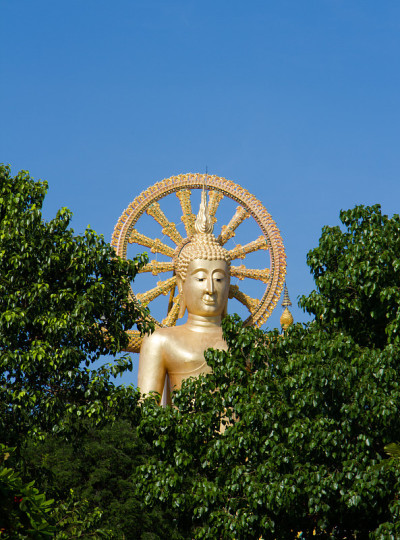 大的佛寺