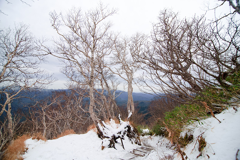 日本大屿山国家公园的初冬和降雪