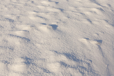 冬天雪积起来