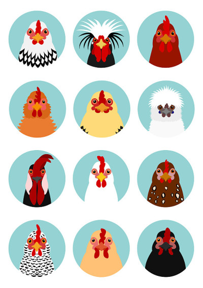 chicken heads set