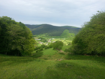 Petiton (3)