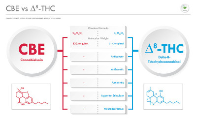 CBE vs 8-THC, Cannabielsoin vs Delta 8 Tetrahydroc