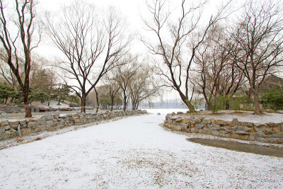 雪后建筑景观