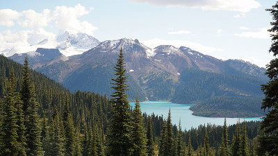 森林景观徒步到加里波第湖全景山脊附近加里波第湖附近的斯夸米什和惠斯勒在加拿大东部不列颠哥伦比亚省。