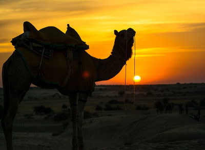 日落在萨姆沙丘的黄金城市Jaisalmer，一个理想的诱惑旅游爱好者