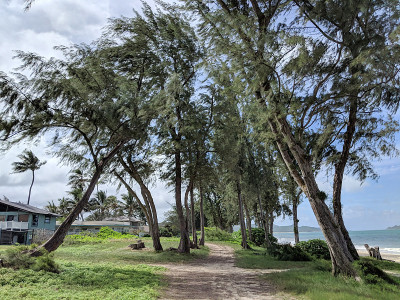 威马纳洛海滩的沙路