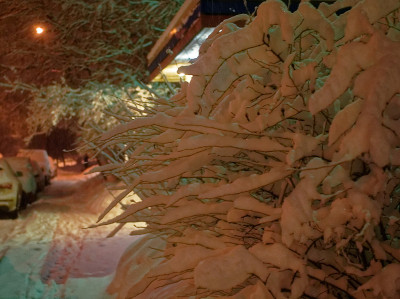 莫斯科晚上下大雪