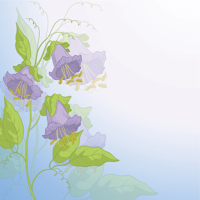 花神户，蓝天