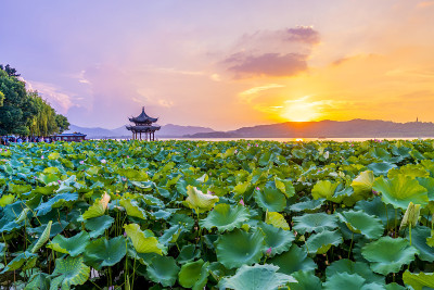 杭州西湖的自然景观和建筑景观