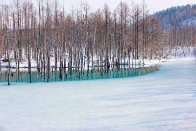 北的春湖