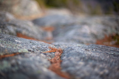 黑熊登山