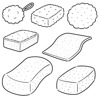 sponge