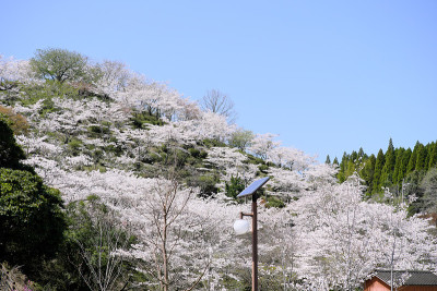 春天的蓝天和小型太阳能电池板