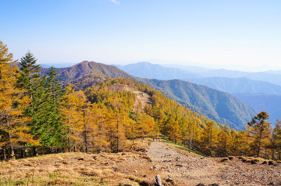 奥古摩石原秋日山脊线上的小径