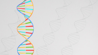 教育和研究知识，医疗卫生，DNA研究，DNA结构研究