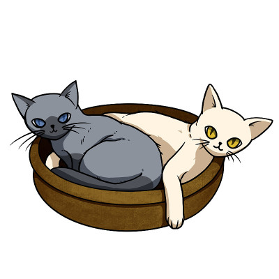 两只猫，白的黑的蜷缩在一个篮子里。卡通人物装饰在宠物艺术品广告，剪辑艺术，儿童教科书。