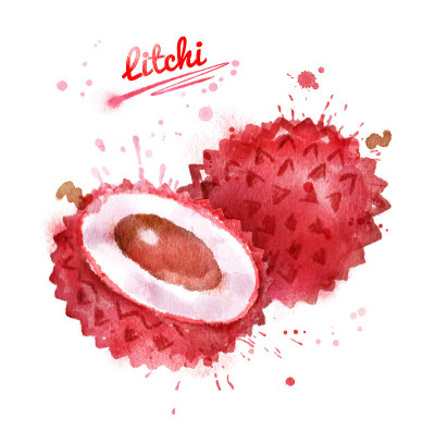 荔枝水彩插画