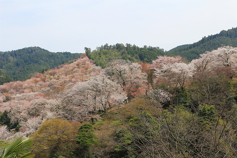 吉野Mikumari Shrine, Yoshinoyama, Nara