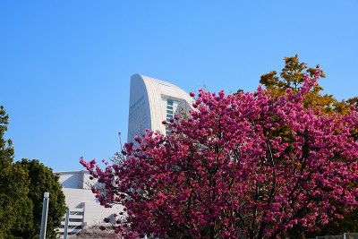 横滨Minatomirai