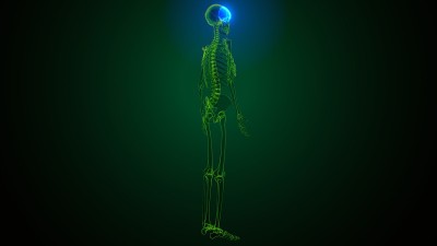 人体骨骼颅骨额骨解剖的3d插图