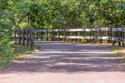 行人和自行车生态道路，沥青路面，背景和植被