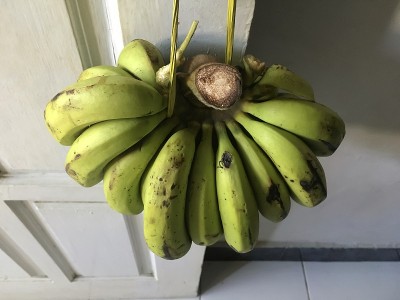 绿色香蕉